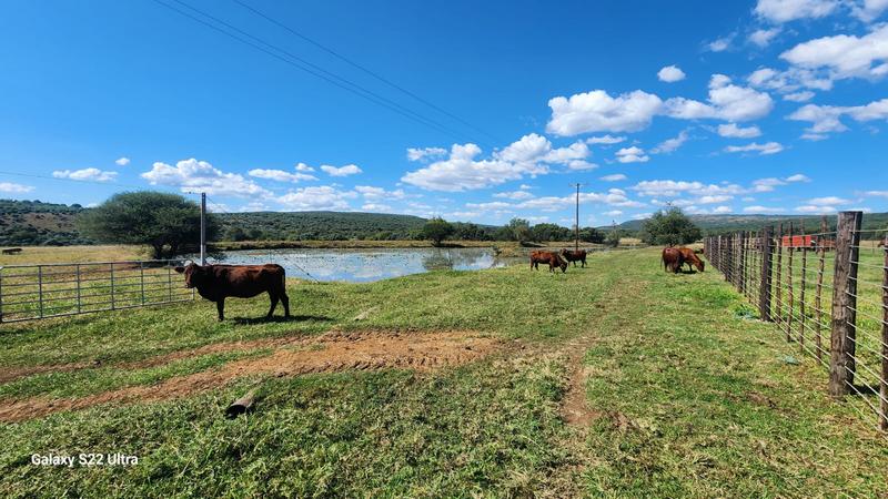 0 Bedroom Property for Sale in Rustenburg Rural North West